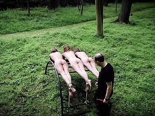 Three teen slaves punishment added to humiliated in estimated bdsm